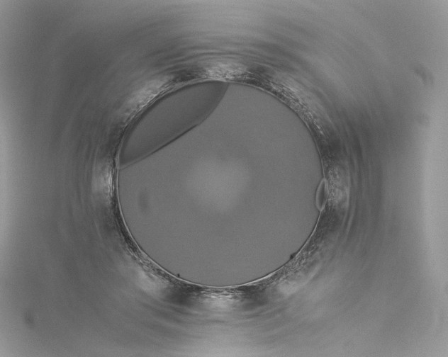 X0000115390405200911171500