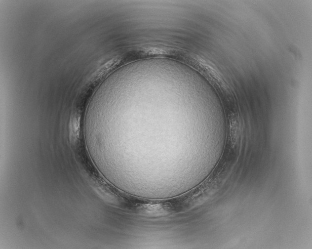 X0000115390406200911171500