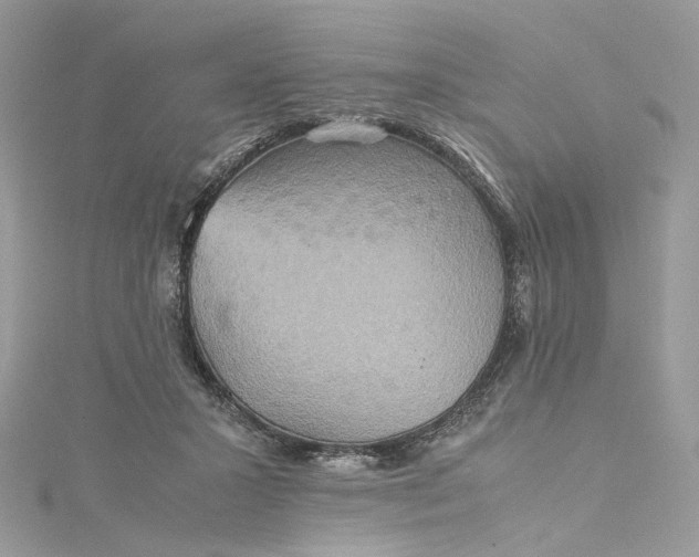 X0000115390407200911171500