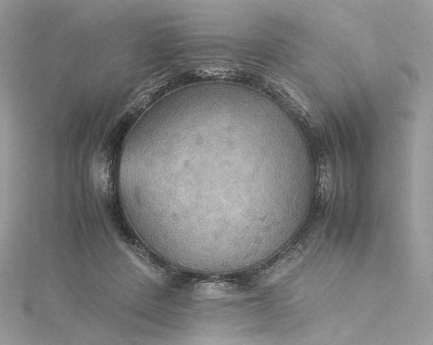 X0000115390408200911171500