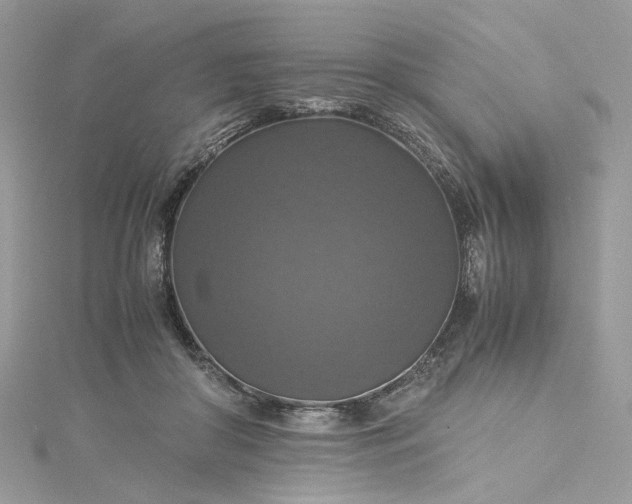 X0000115390410200911171500