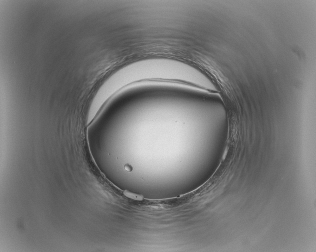 X0000115390411200911171500