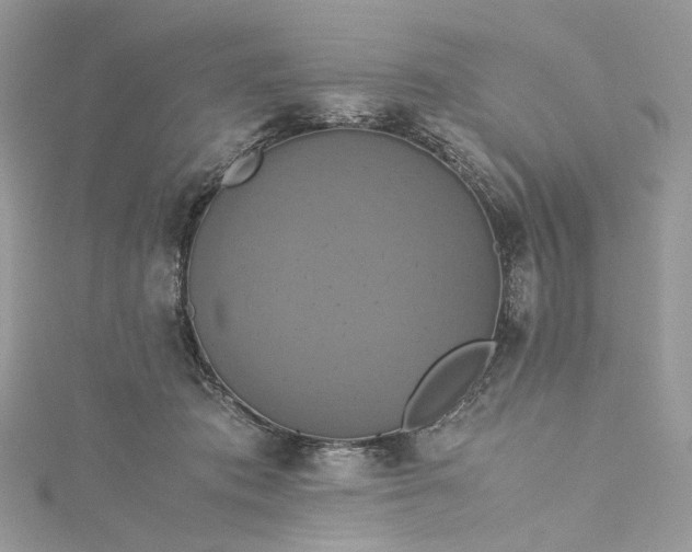 X0000115390413200911171500