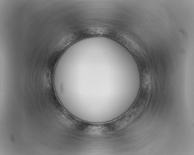 X0000115390414200911171500