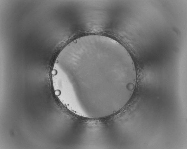 X0000115390415200911171500