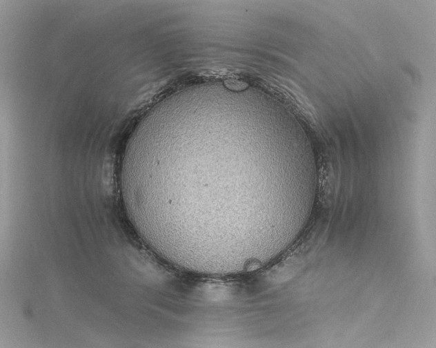 X0000115390416200911171500