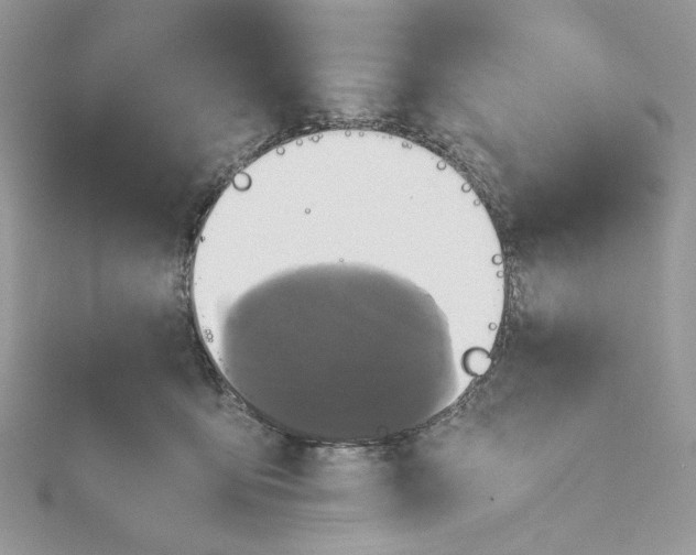 X0000115390419200911171500