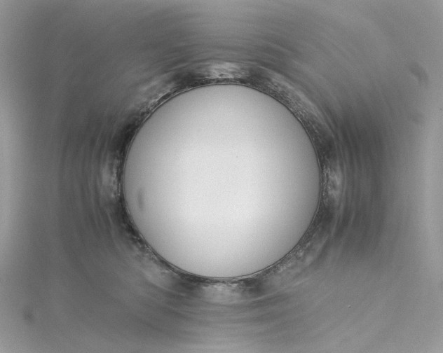 X0000115390422200911171500