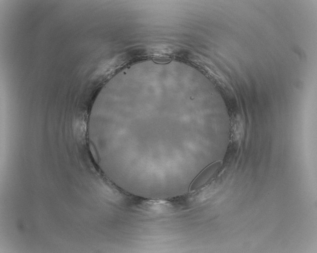 X0000115390427200911171500