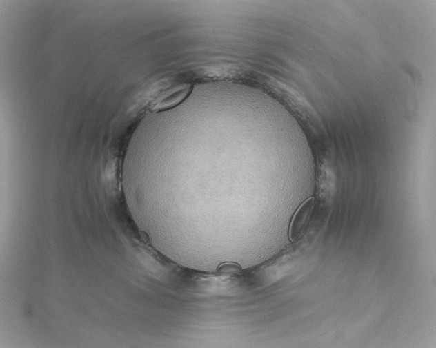 X0000115390428200911171500