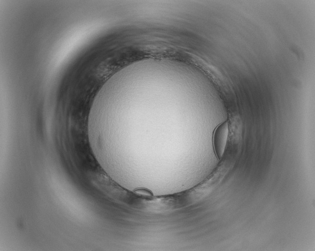 X0000115390430200911171500