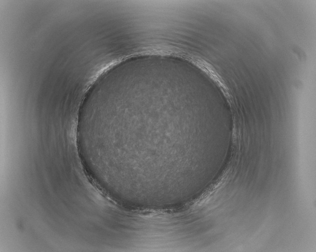 X0000115390434200911171500