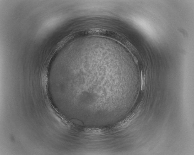 X0000115390435200911171500