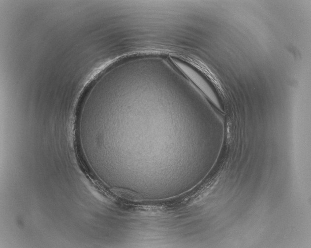 X0000115390436200911171500