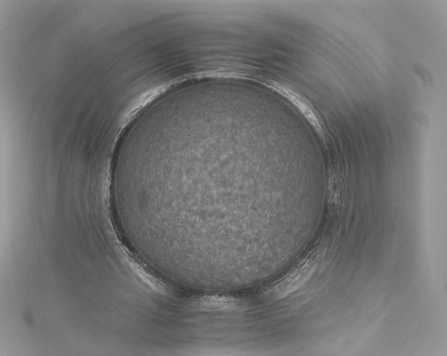 X0000115390437200911171500