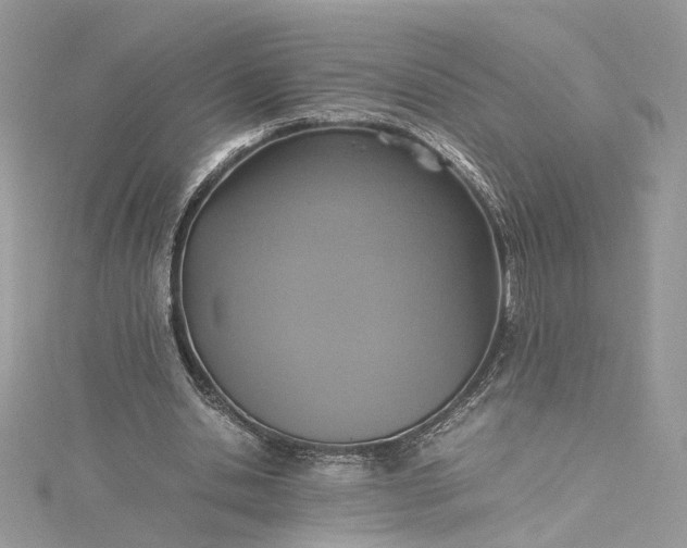 X0000115390438200911171500