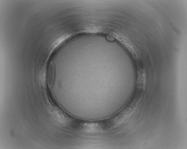 X0000115390440200911171500