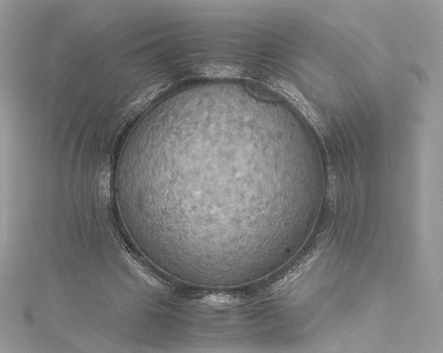 X0000115390441200911171500