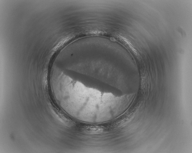 X0000115390443200911171500