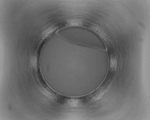 X0000115390444200911171500