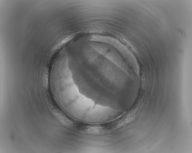 X0000115390446200911171500