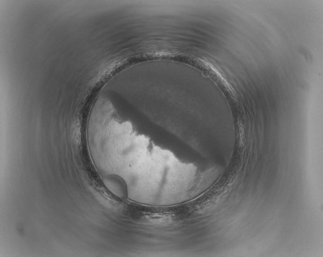 X0000115390447200911171500