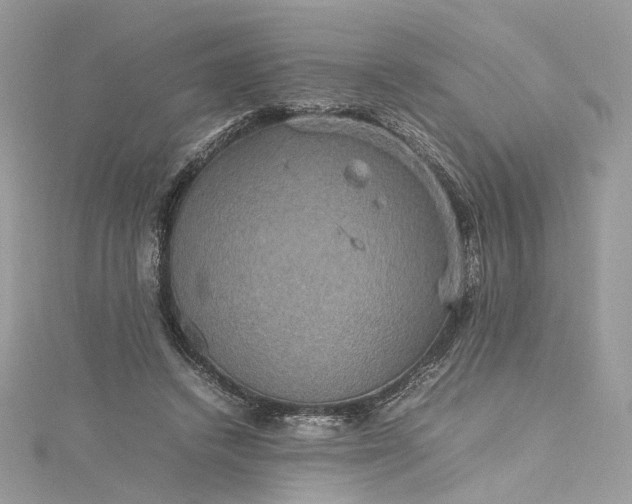 X0000115390448200911171500