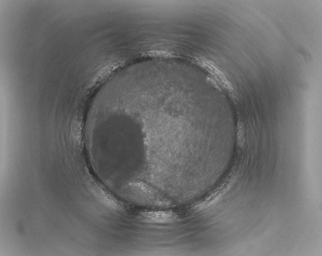 X0000115390449200911171500