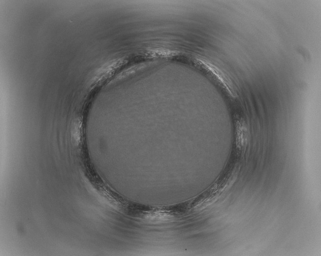 X0000115390451200911171500