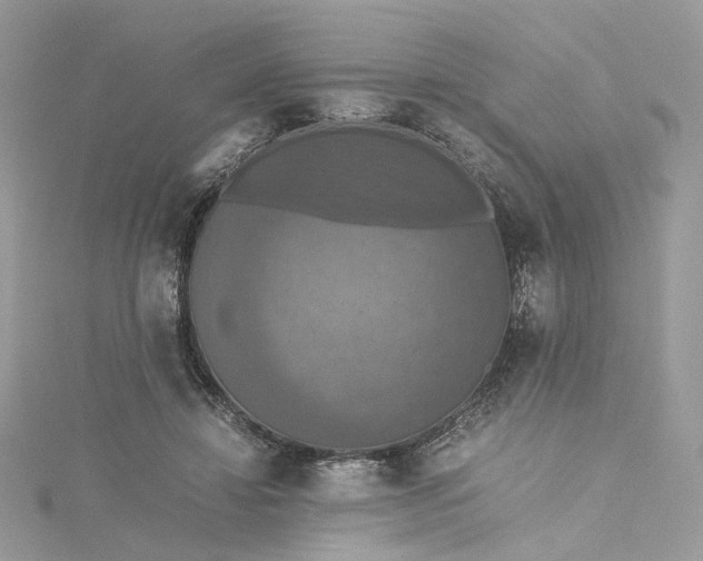 X0000115390452200911171500