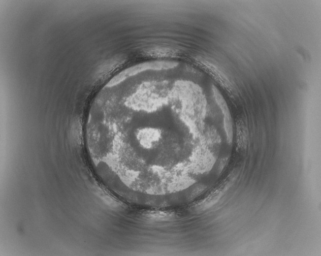 X0000115390453200911171500