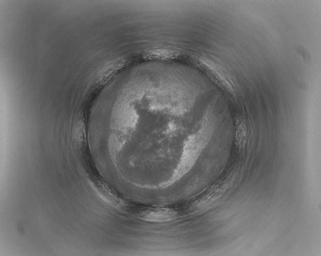 X0000115390459200911171500