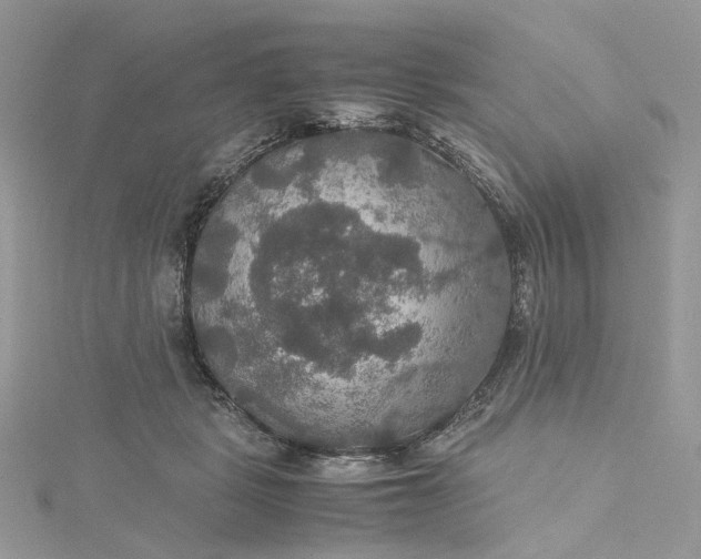 X0000115390461200911171500