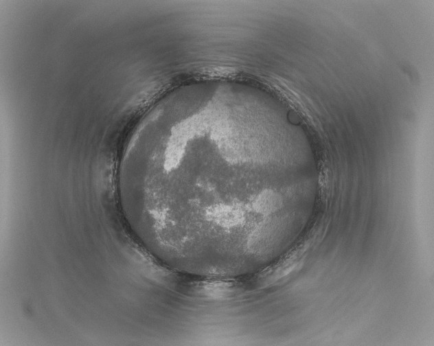 X0000115390462200911171500