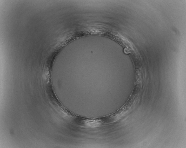 X0000115390465200911171500