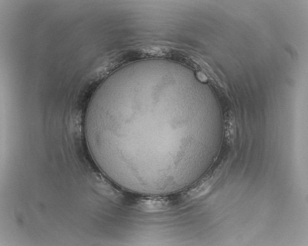 X0000115390466200911171500