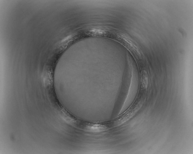 X0000115390467200911171500