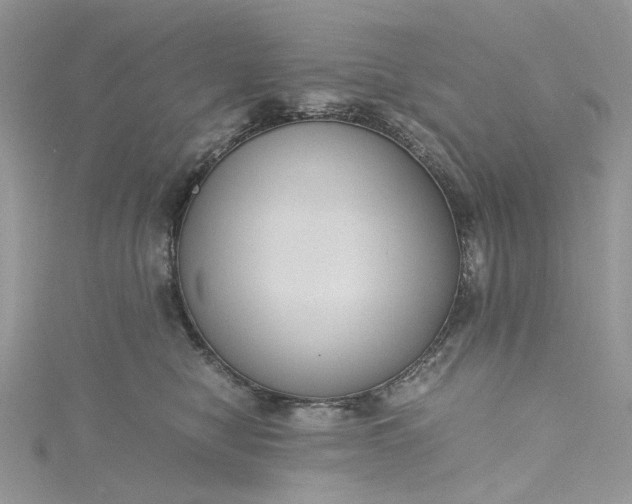 X0000115390470200911171500