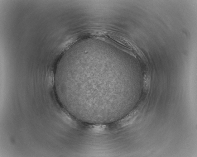 X0000115390474200911171500