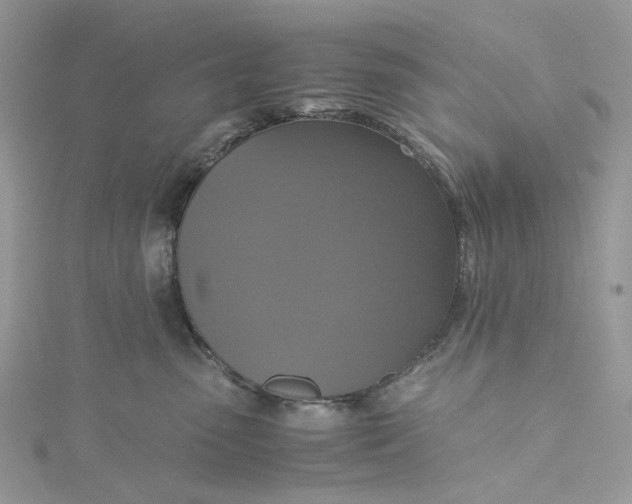 X0000115390475200911171500