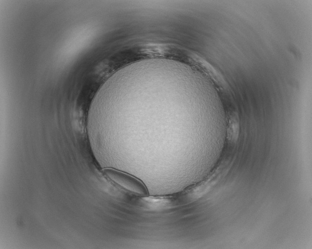 X0000115390477200911171500