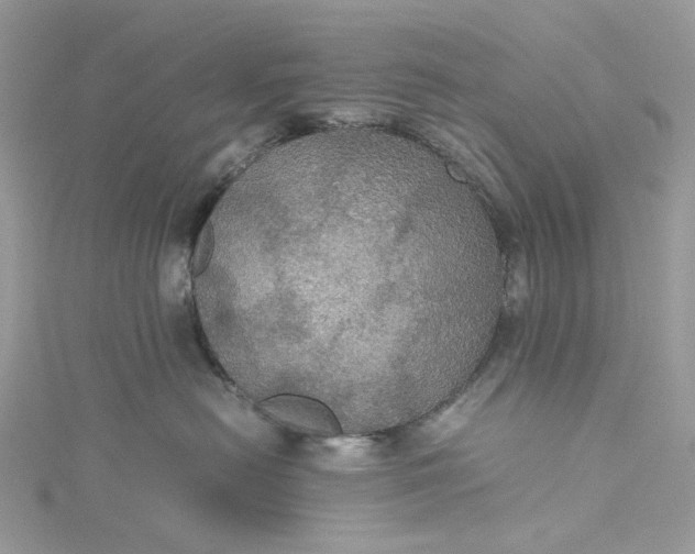 X0000115390478200911171500