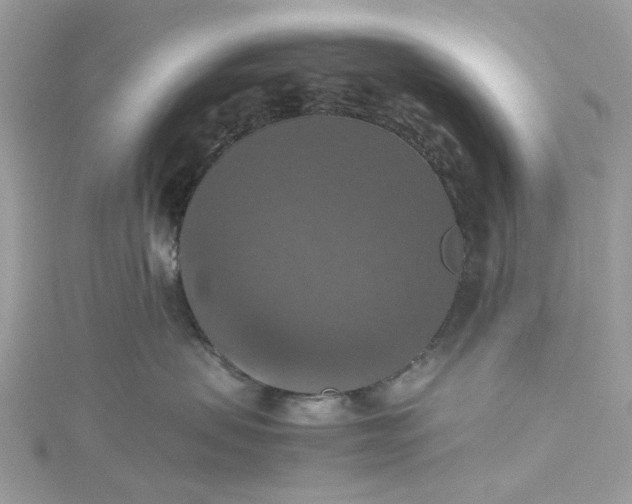 X0000115390479200911171500