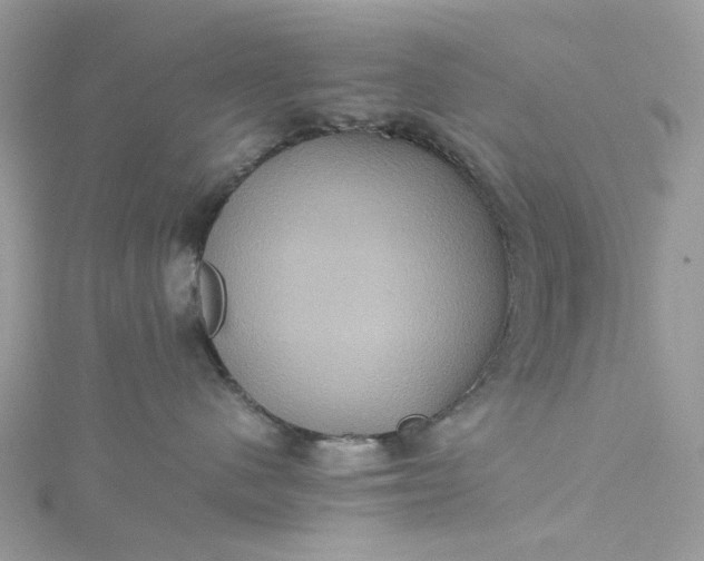 X0000115390480200911171500