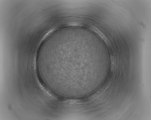 X0000115390482200911171500