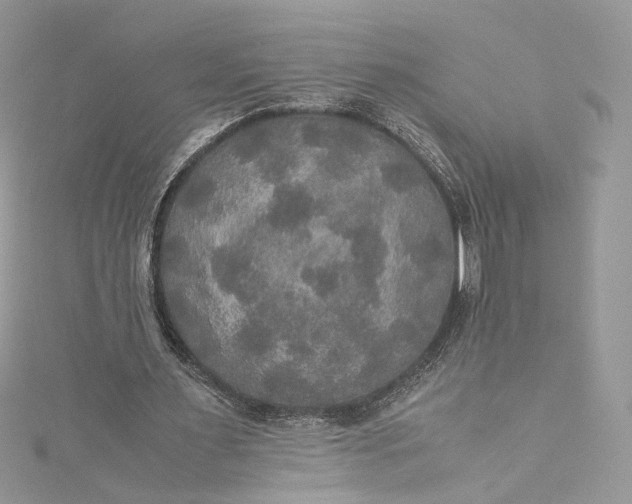 X0000115390483200911171459