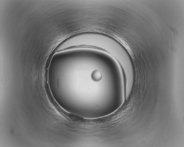 X0000115390485200911171459