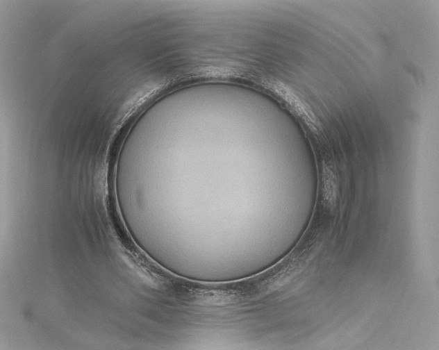 X0000115390486200911171459