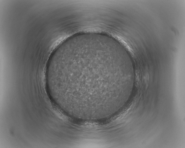 X0000115390487200911171459