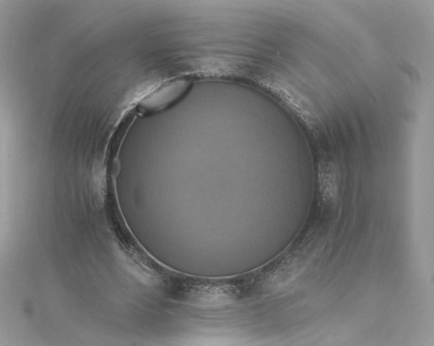 X0000115390488200911171459